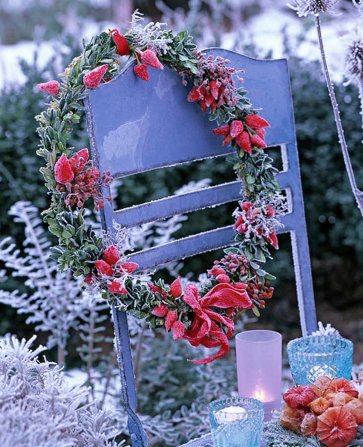 Wreath With Hoarfrost Made Of Buxus boxwood With Capsicum Photograph by Friedrich Strauss