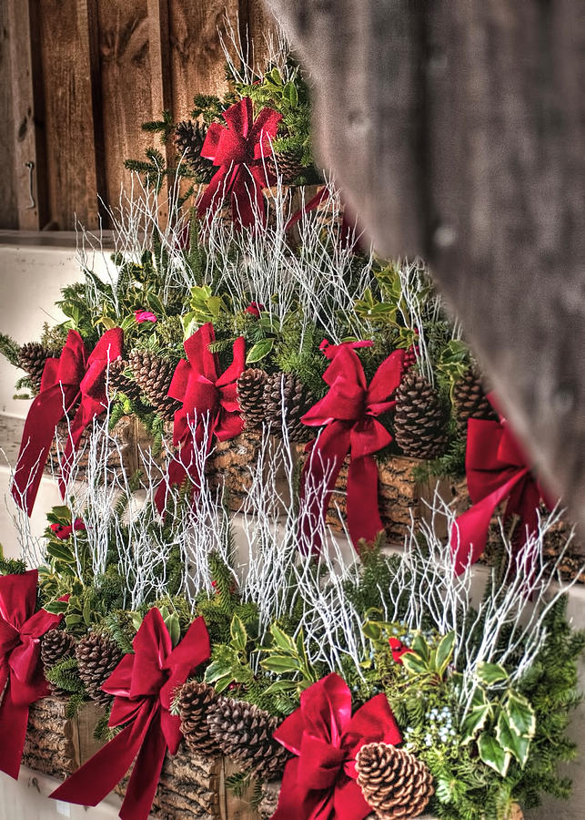 Wreaths for Sale In Massachusetts Photograph by Cordia Murphy