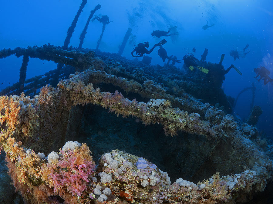 Wreck Of The Numidia Photograph by Ilan Ben Tov
