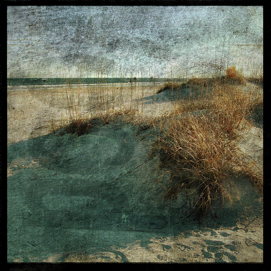 Beach Digital Art - Wrightsville Dunes by John W. Golden