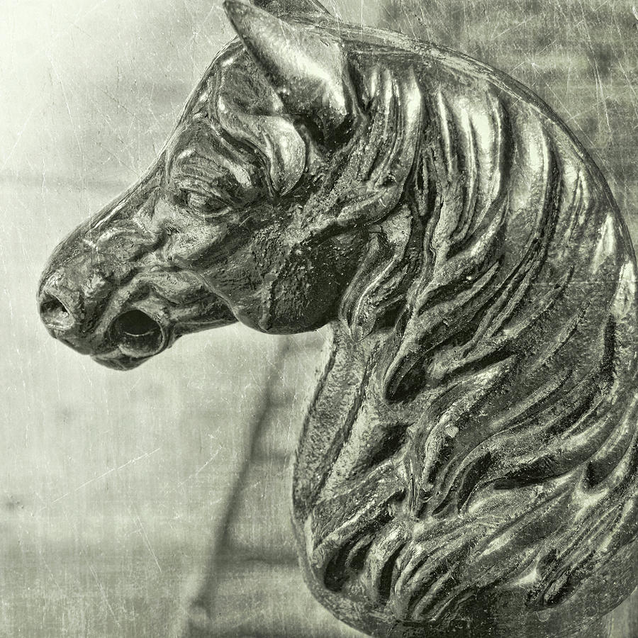 Wrought Iron Equine Photograph by Dressage Design