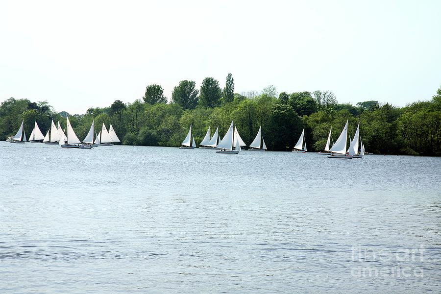 Wroxham Broad Photograph by Victor De Schwanberg/science Photo Library