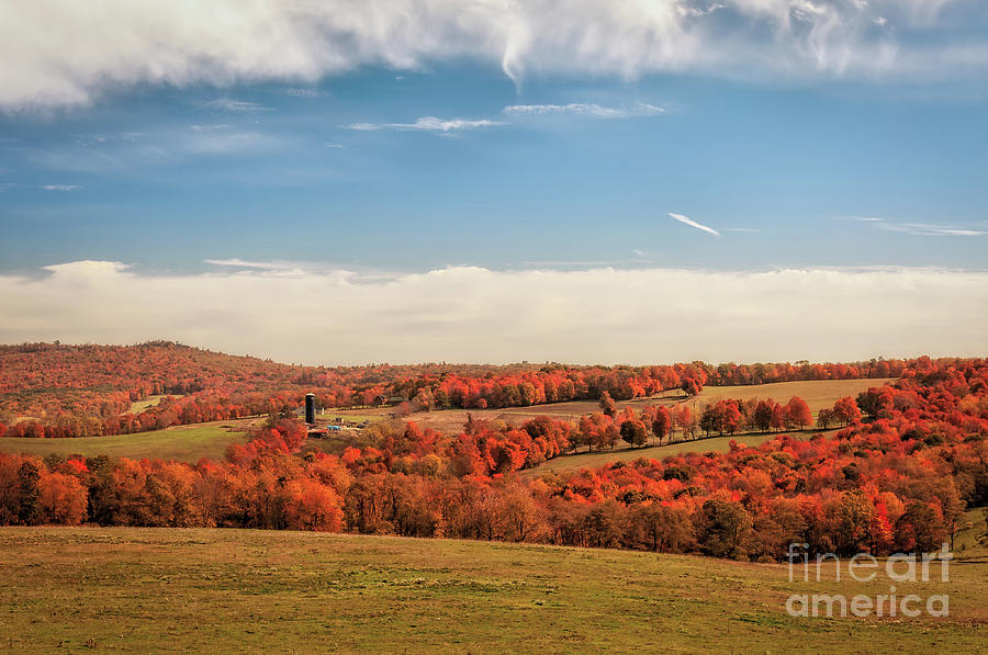 WV Trees of Autumn Photograph by Kathleen K Parker