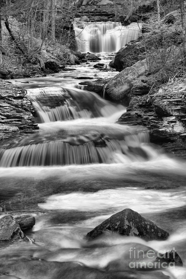 Waterfall Photograph - Wyandot Falls Autumn Portrait Black And White by Adam Jewell