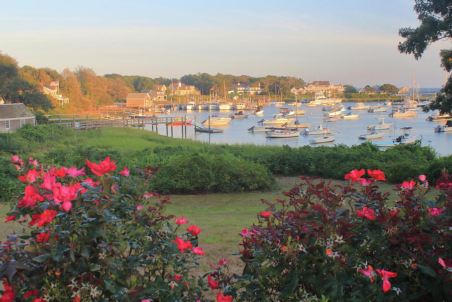 Wychmere Harbor Harwich Cape Cod Photograph by John Burk