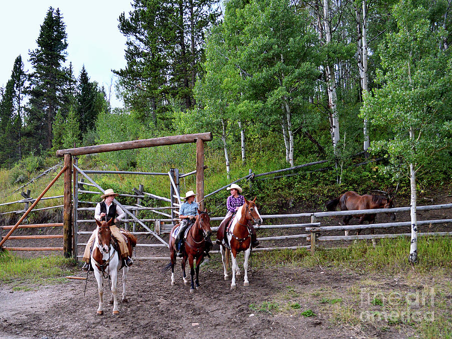 Wyoming Cowgirl Trio Photograph by Catherine Sherman