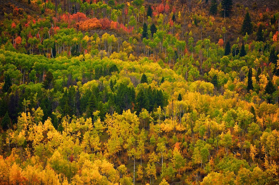 Wyoming Falls Colors 2 Photograph