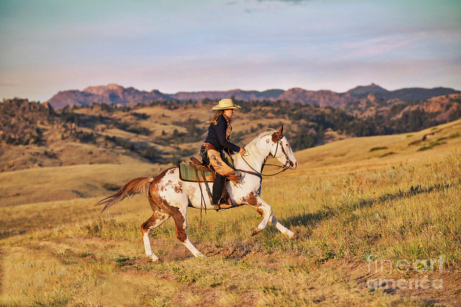 Western Photograph - Wyoming Paint by Terri Cage