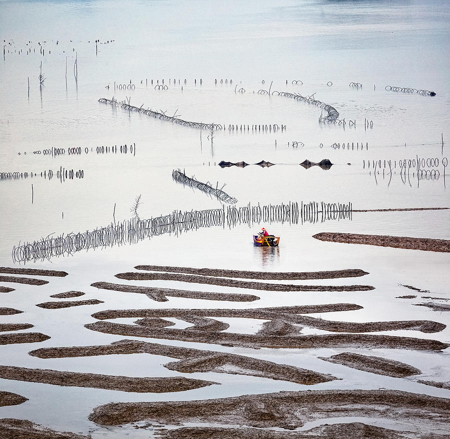 Landscape Photograph - Xiapu Oracle Mudflat by Shimei Yan