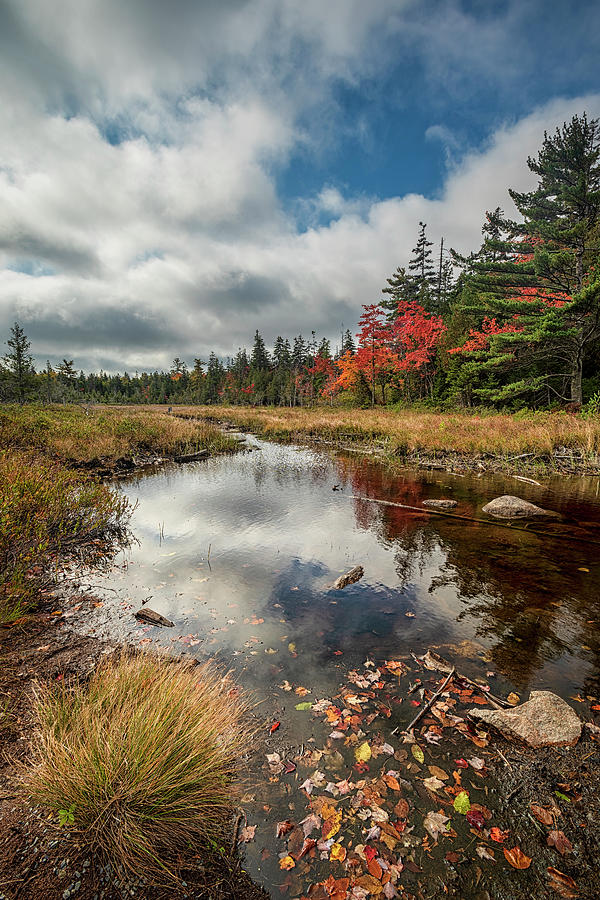 Autumn In Maine 14 Photograph by Robert Fawcett