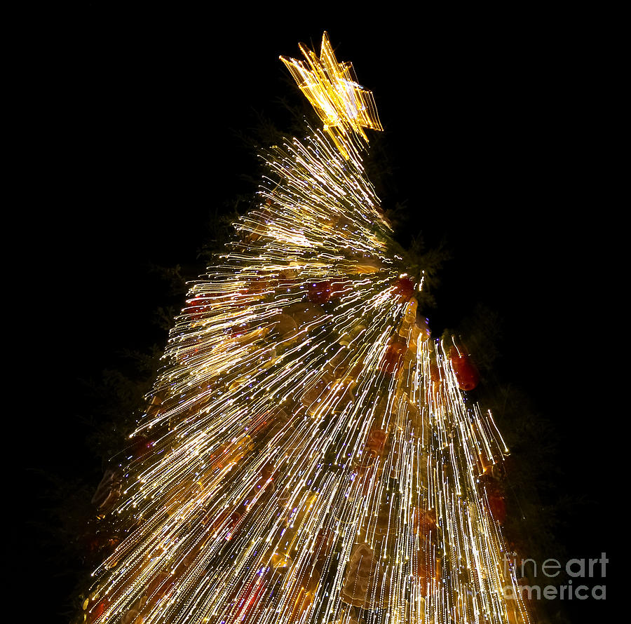 Christmas Photograph - Xmas Tree Motion Art by Iryna Liveoak