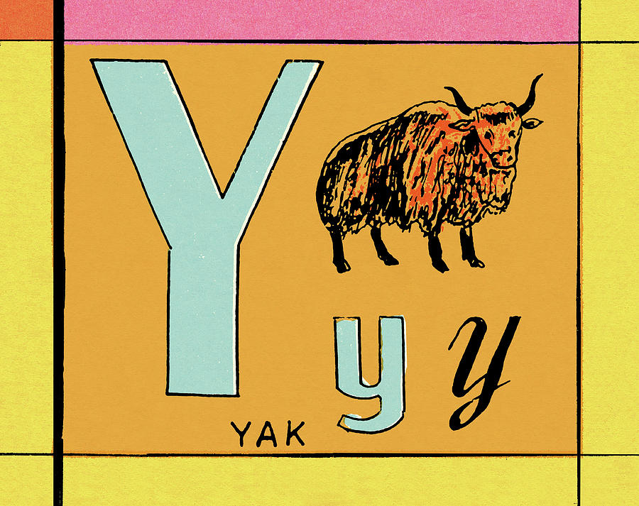 Vintage Drawing - Y is for Yak by CSA Images