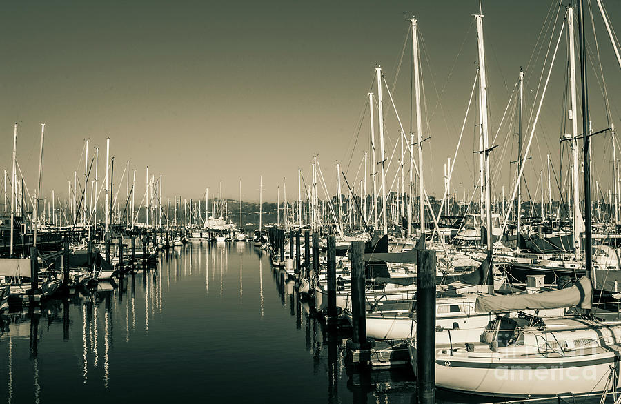 0697 Boats Anchor near Belvedere Tiburon California Photograph by Neptune - Amyn Nasser Photographer