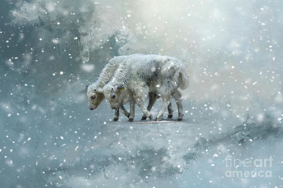 Yaks Calves in a Snowstorm Mixed Media by Eva Lechner