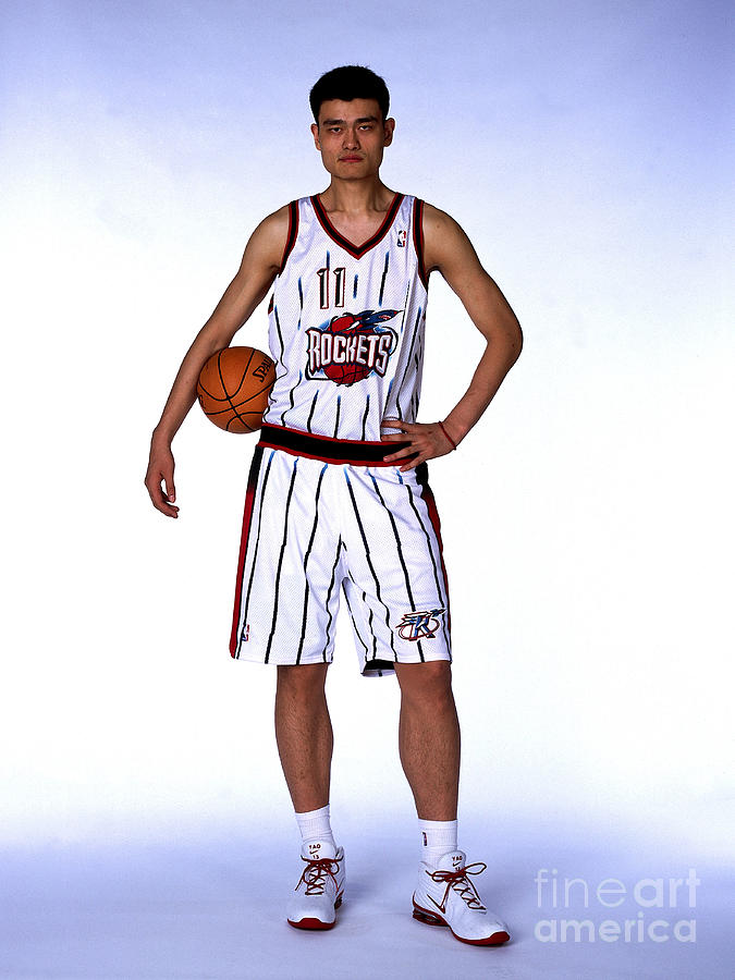 Yao Ming Portrait Photograph by Andrew D. Bernstein