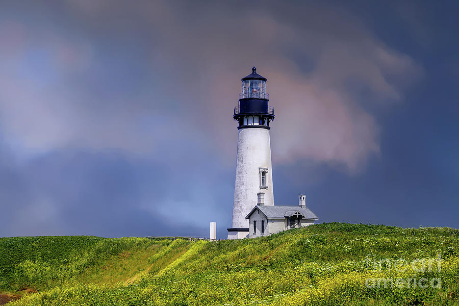 Lighthouse Photograph - Yaquina Head Light by Roxie Crouch
