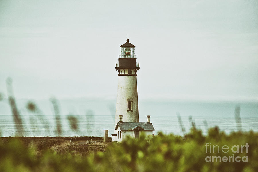 Yaquina Head Lighthouse Oregon Coast - Classic Camera Photograph by Scott Pellegrin