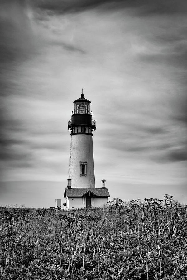 Yaquina Lighthouse Photograph by Steven Clark