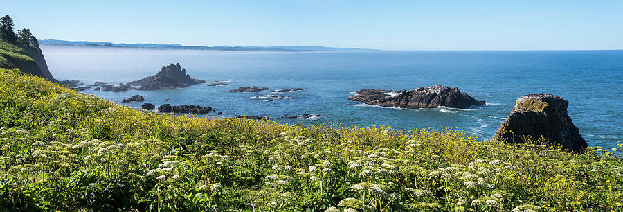 Yaquina South by Robert Potts Yaquina South by Robert Potts