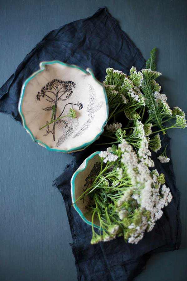 Yarrow In Two Bowls With Ruffled And Blue-painted Rims Photograph by Alicja Koll