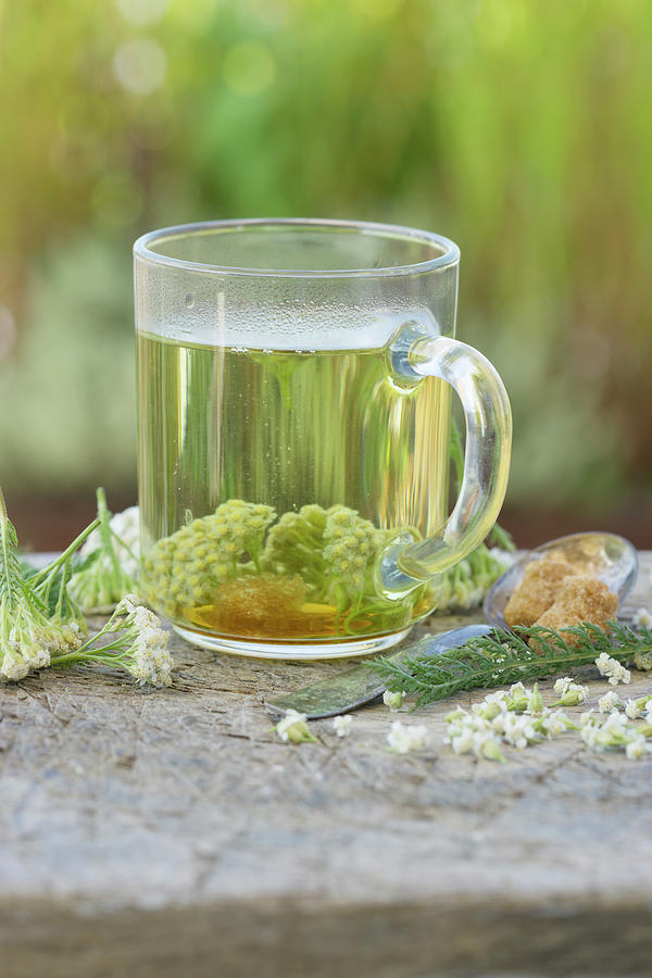 Yarrow Tea With Cane Sugar Photograph by Martina Schindler