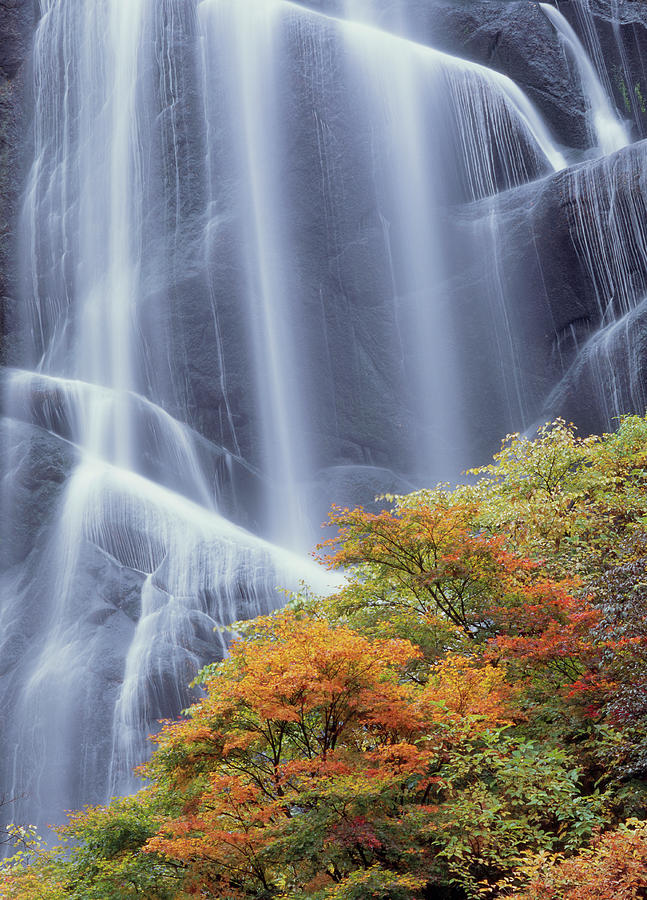 Yasunotaki Waterfall In Autumn Photograph by Mixa