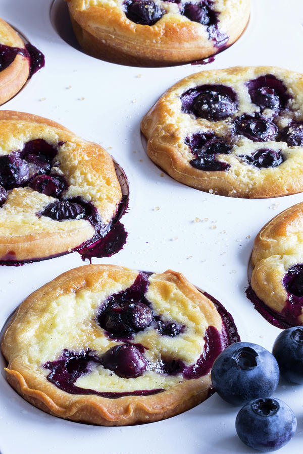 Yeast Cakes With Blueberries Photograph by Charlotte Von Elm