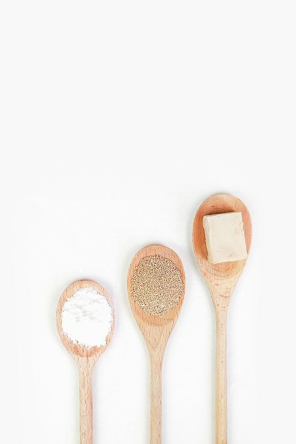 Yeast, Fresh And Dried, On Cooking Spoons Photograph by Claudia Gargioni