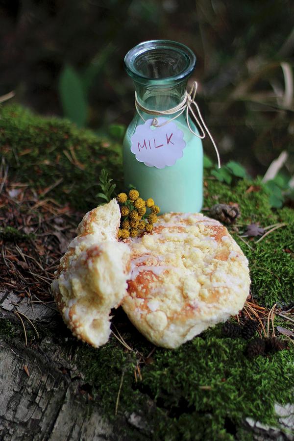 Yeast Pastries With A Bottle Of Milk On A Moosy Log Photograph by Sylvia E.k Photography