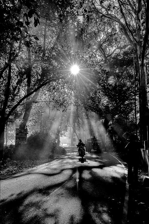 Yelagiri Photograph by Balasubramanian Gv - Fine Art America