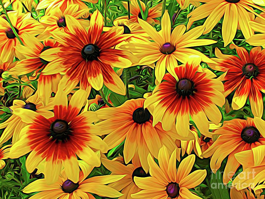Yellow and Burnt Orange Rudbeckia Coneflowers with Abstract Expressionistic Effect Photograph by Rose Santuci-Sofranko