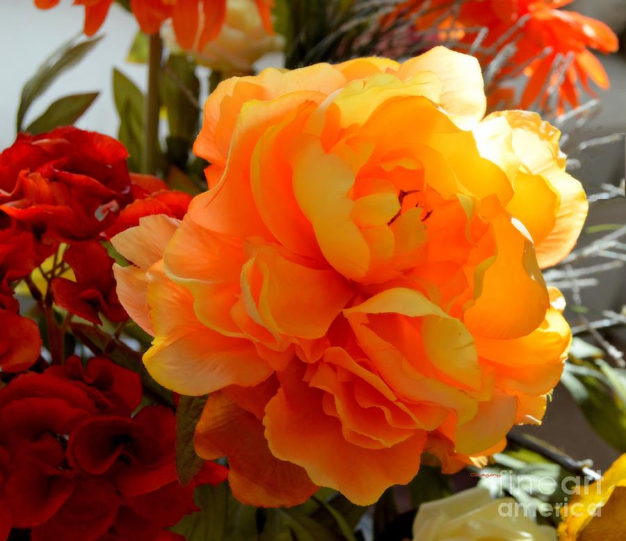 Yellow and Orange by Greg Moores Yellow and Orange by Greg Moores