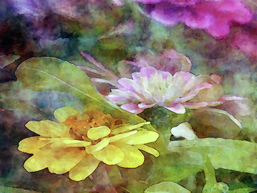 Yellow and Pink Zinnia 1305 IDP_2 Photograph by Steven Ward
