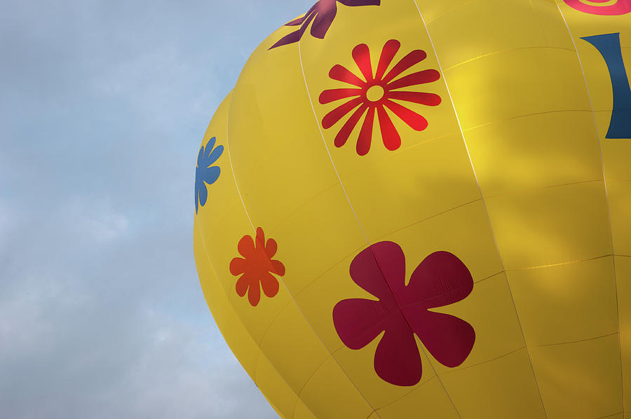 Yellow Balloon Patterns ii Photograph by Helen Jackson