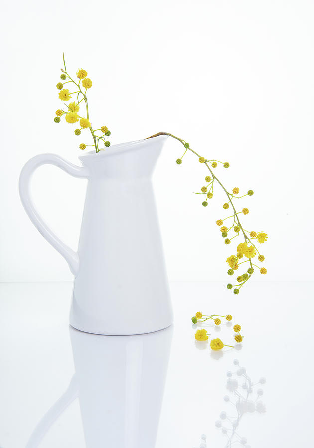 Yellow Beautiful Flowers On A White Vase. Photograph