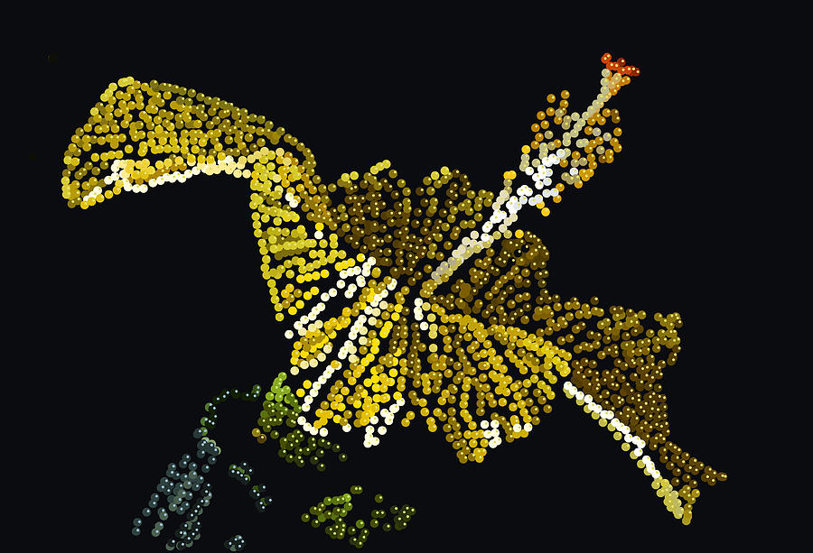  Yellow Bedazzled Hibiscus   Digital Art by R  Allen Swezey
