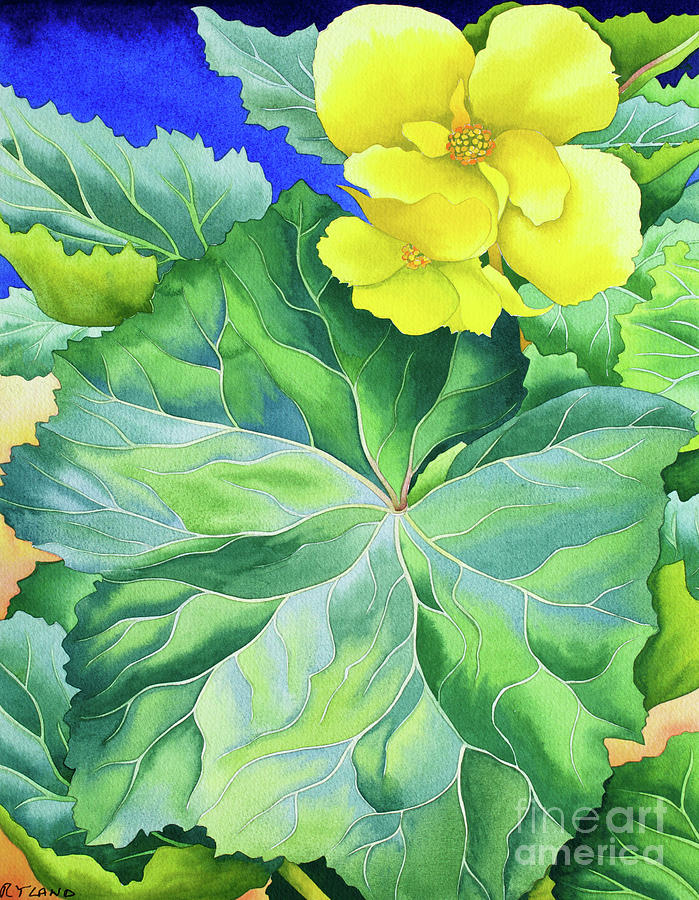 Yellow Begonia Painting by Christopher Ryland