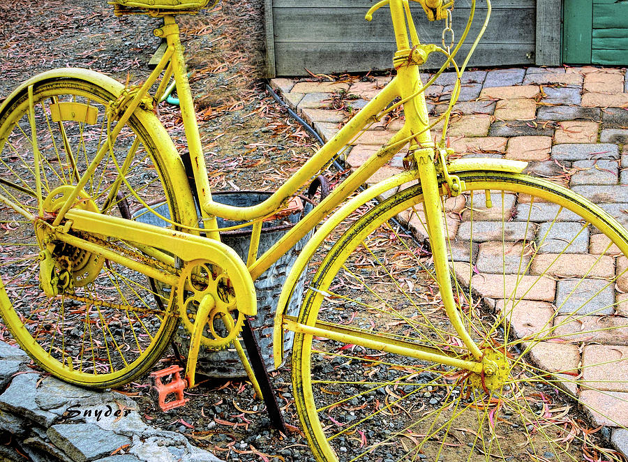 Yellow Bicycle Detail  Photograph by Floyd Snyder