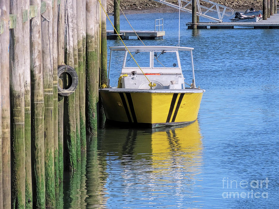 Yellow boat Photograph by Janice Drew