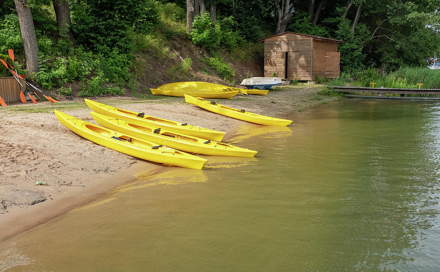Yellow Boats in a sports Club Photograph by Dubi Roman