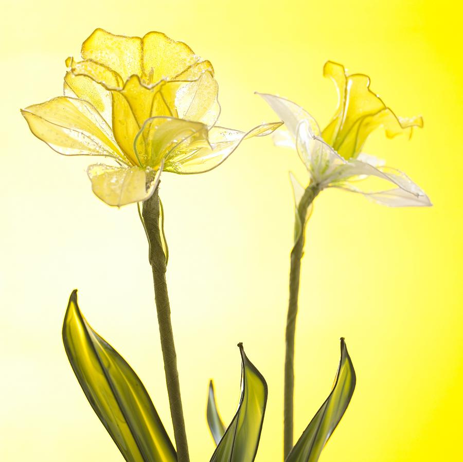 Yellow Botanical Summer Blossom by Joy of Life Arts Yellow Botanical Summer Blossom by Joy of Life Arts