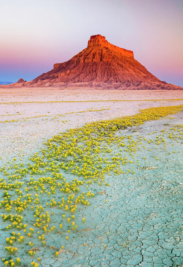 Yellow Brick Road by Johnny Adolphson Yellow Brick Road by Johnny Adolphson