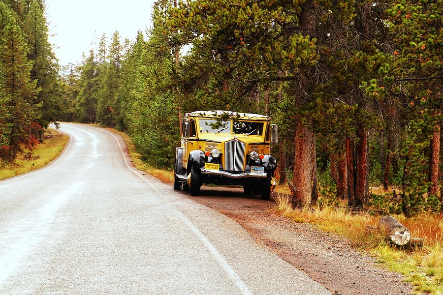 Yellow Bus at Yellowstone National Park Photograph by Susan Jensen