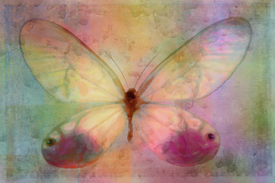 Insects Photograph - Yellow Butterfly Watercolor by Cora Niele