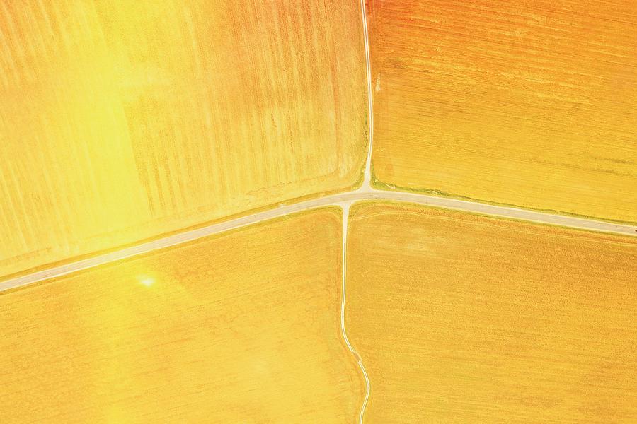 Abstract Photograph - Yellow Clusters Of Agricultural Fields by Ryhor Bruyeu