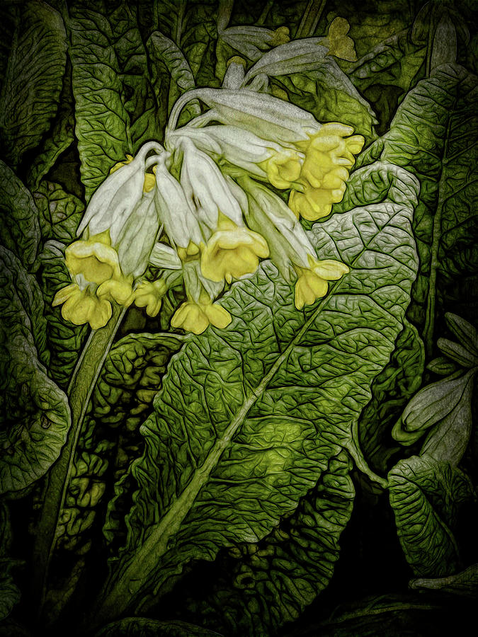 Yellow Cowslip Stem Photograph by Leslie Montgomery