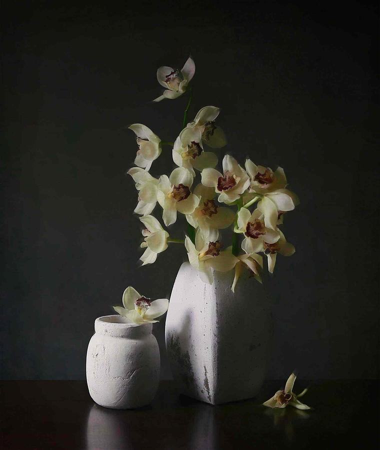 Yellow Cymbidium Orchid Photograph by Fangping Zhou