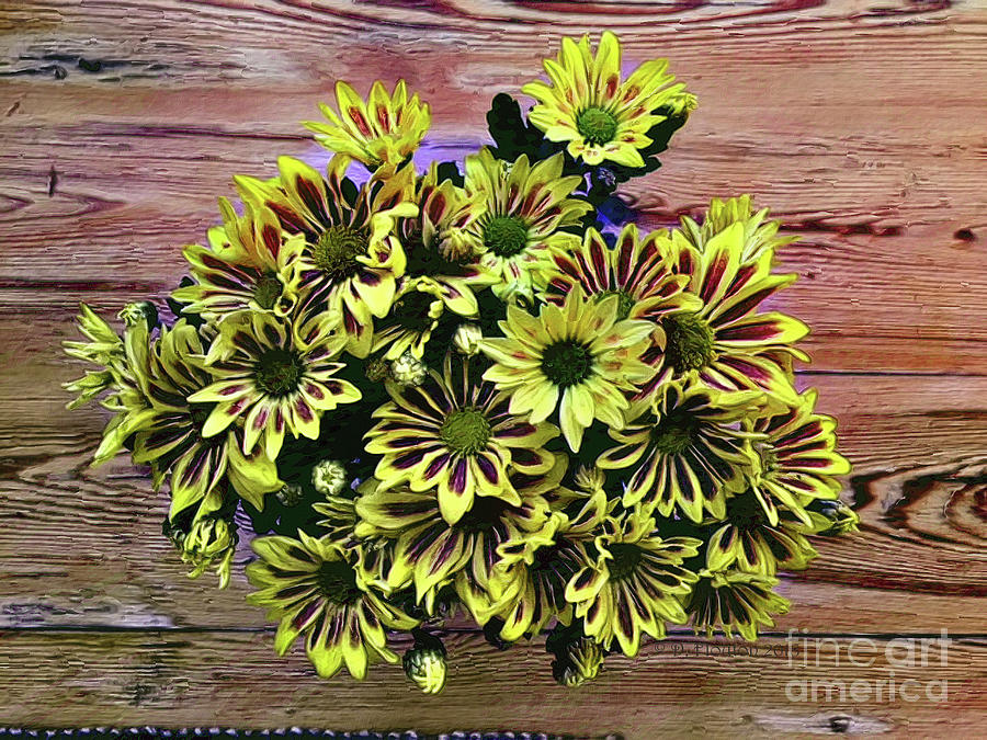 Yellow Daisies Digital Art by Dee Flouton