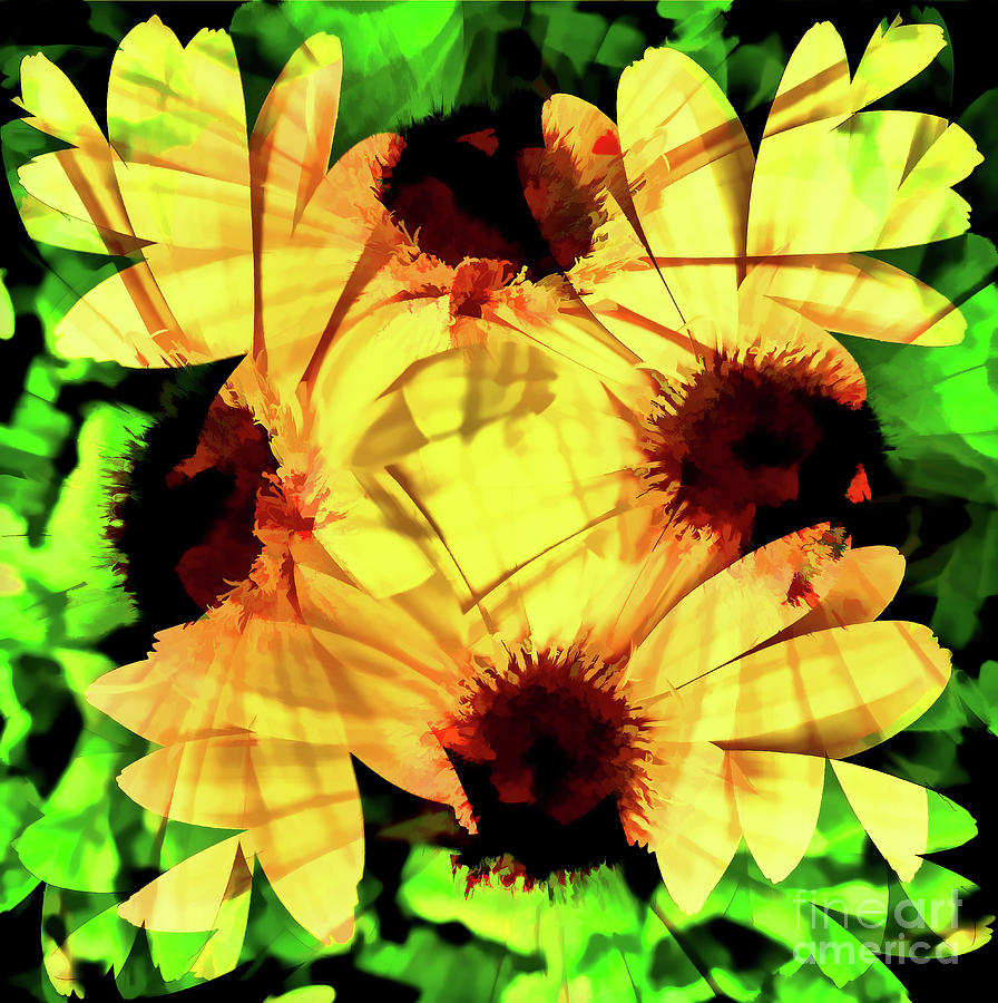 Yellow Daisy Abstract Digital Art by D Hackett