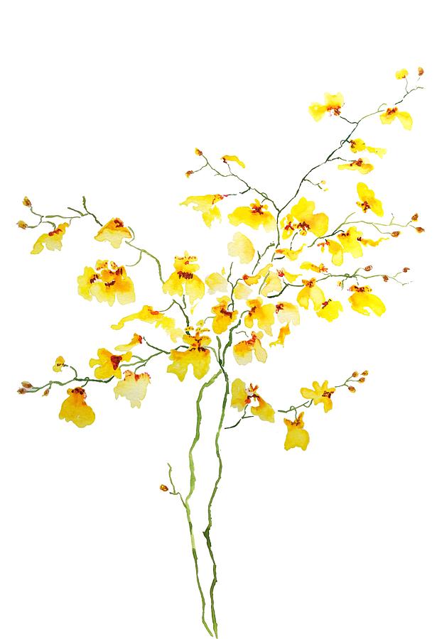 Yellow Dancing Orchid Painting by Color Color